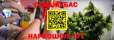 индика Мариинск