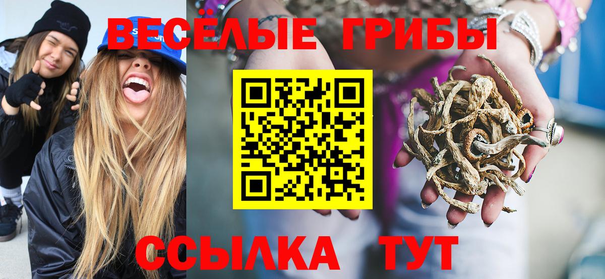 Псилоцибиновые грибы Magic Shrooms  Вход с VPN  Губаха 
