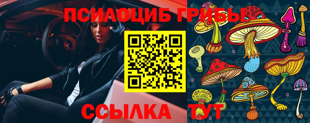 Галлюциногенные грибы мухоморы Губаха